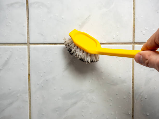 Best Residential Mold Removal  in Salem, SD