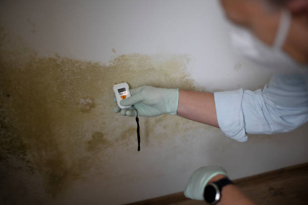Best Emergency Mold Removal  in Salem, SD