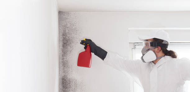 Best Emergency Mold Removal  in Salem, SD