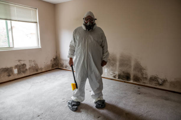 Best Mold Cleaning Services  in Salem, SD